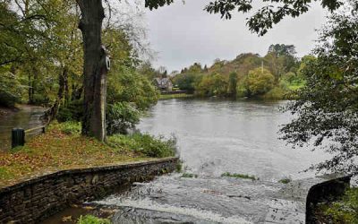 Gnoll Estate Country Park Masterplan