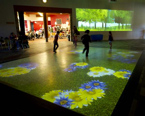 Interactive Forest Floor