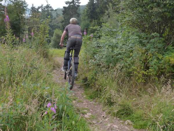 Visitor centre feasibility study, Natural Resources Wales, November 2014