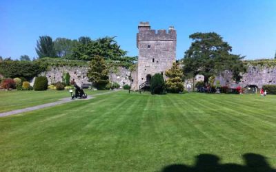 Heritage Masterplanning Consultancy | Visitor Experience & Site Development