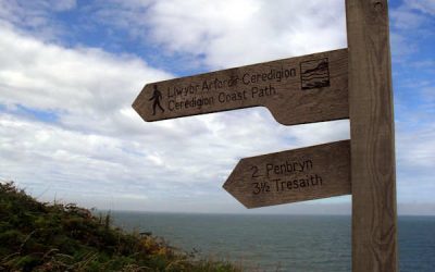 Strategic development: Creating your strategy to respond to changing market trends and commercial realism