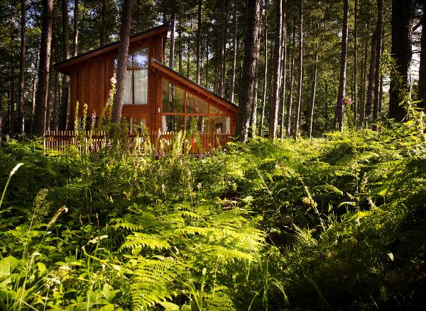 New Forest Holidays Site Opening in November 2024 in Glentress Forest, October 2023
