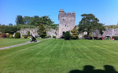 Audience Development Plan Research, Caldicot Castle and Country Park
