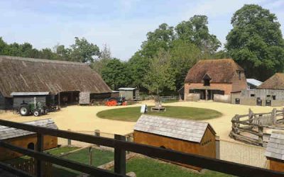 Manor Farm Visitor Attraction Development Planning