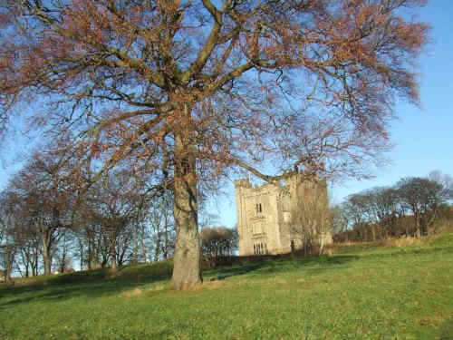 Hylton Castle Business Plan