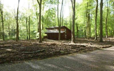Tourist Accommodation Site Assessment and Strategic Development Planning, Blackwood Forest, Hampshire