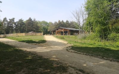 Country Park and Farm Accommodation Feasibility Study, River Hamble Country Park