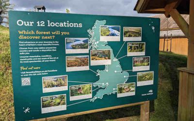 Future Potential Scoping Study Forest Cabins in the UK