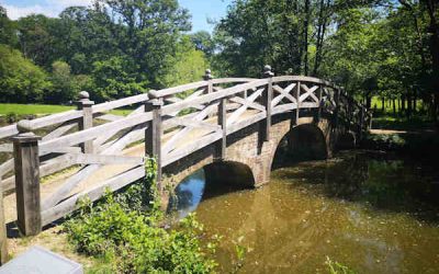 Self Catering Accommodation Feasibility Study, Staunton Country Park