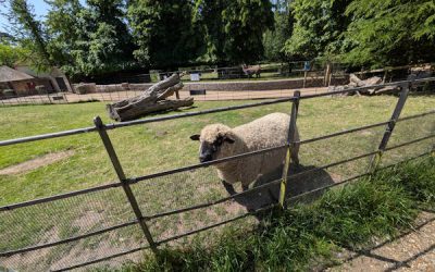 Staunton Farm Visitor Attraction Feasibility Study