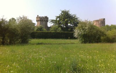 Visitor Management Plan, Caldicot Castle and Country Park