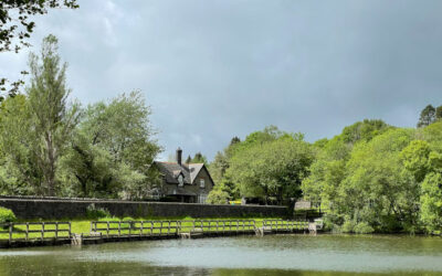 Country park visitor research – Gnoll Estate Country Park