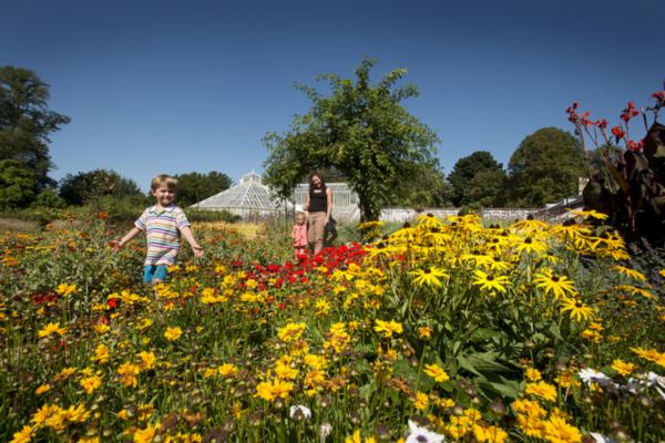 Country park consultants – visitor experience planning and income generation, Staunton Country Park