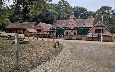 Visitor experience planning and income generation, Staunton Country Park