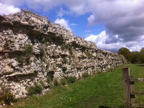 Silchester Roman Town, Visitor Experience Research