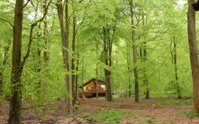 Glentress Forest – Site and Market Assessment Forest Holidays