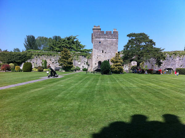 Castle heritage specialist