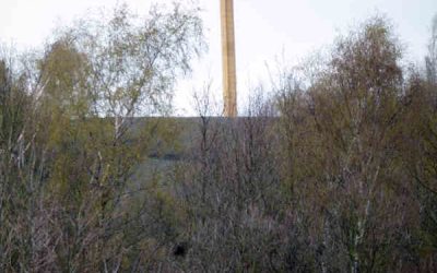 Pooley Country Park visitor experience masterplan