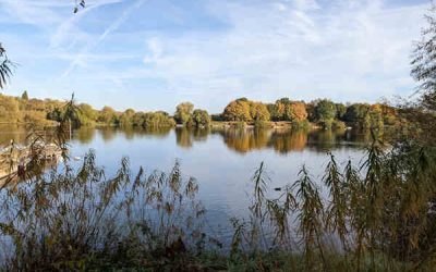 Kingsbury Water Park visitor experience masterplan