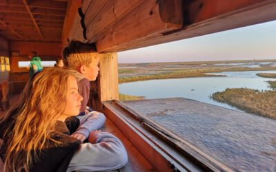 Rye Harbour Discovery Centre Business planning National Heritage Lottery Fund, May 2019