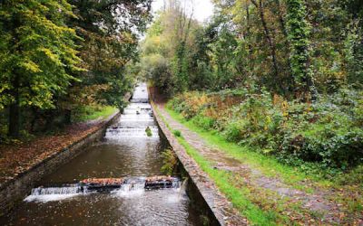 Gnoll Estate Country Park Masterplan Visitor Accommodation, March 2020