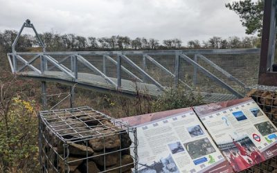 Feasibility studies: Irchester and Sywell Country Parks, December 2023