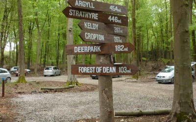 New Forest Holidays Site Opening in November 2024 in Glentress Forest, October 2023