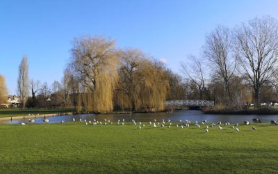 Riverside Park Visitor Experience Masterplan, August 2020