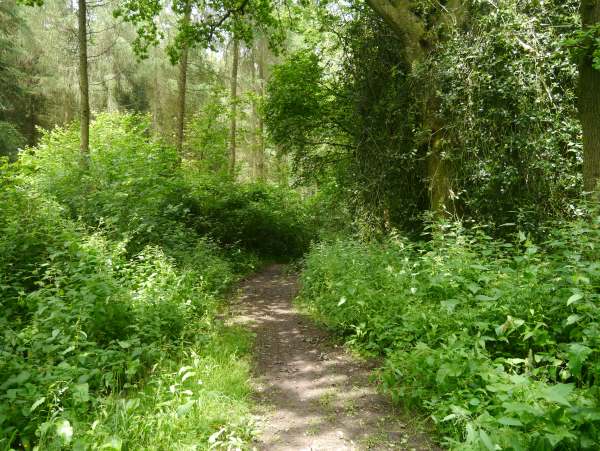 Feasibility study for a new country park, June 2016