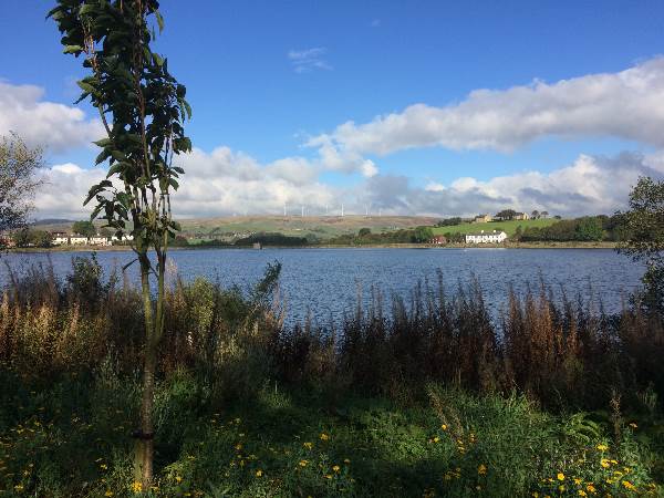 Developing a future Vision for Hollingworth Lake Country Park and Visitor Centre, November 2016
