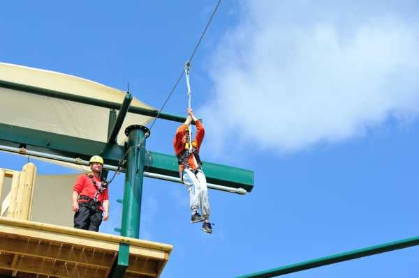 Aerial Adventure – Business Planning, Leicestershire