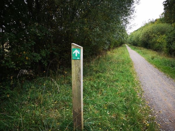 Forecasting visitor numbers, Havant Thicket Winter Storage Reservoir, October 2018
