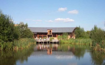 Heart of the National Forest Visitor Centre Business Plan