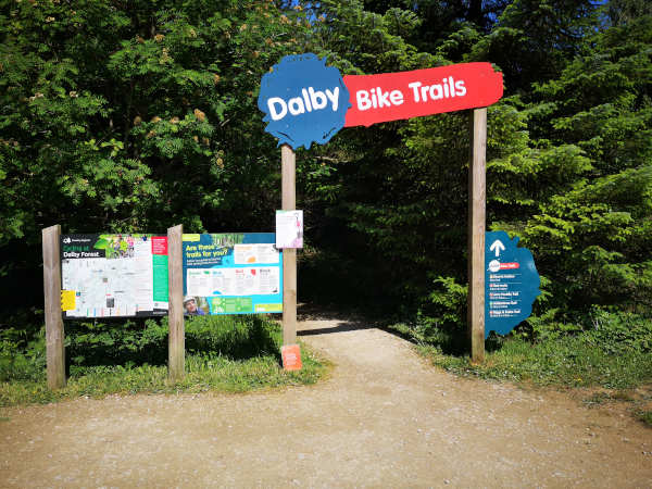 Dalby Forest Mountain Biking