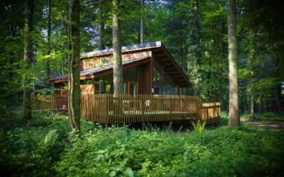 Glentress Forest – Site and Market Assessment Forest Holidays