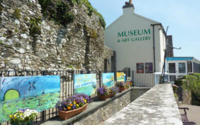 Tenby Museum and Art Gallery – Options Appraisal, September 2020