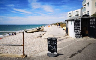 Bracklesham and East Wittering Vision, July 2020