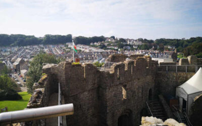 Oystermouth Castle Visitor Experience Planning, January 2022