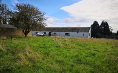Visitor Centre options appraisal and feasibility study, County Roscommon