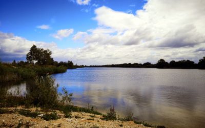 Market assessment and options appraisal – watersports and education activities