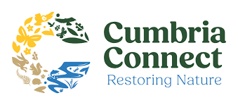 Cumbria Connect