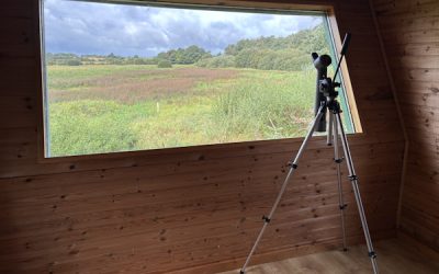 Nature Reserve Feasibility Study, February 2026