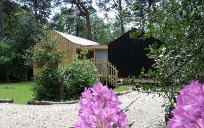 Agritourism Consultant UK | Rural & Farm Diversification & Business Planning | PSC