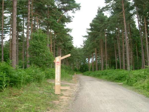Agritourism consultant