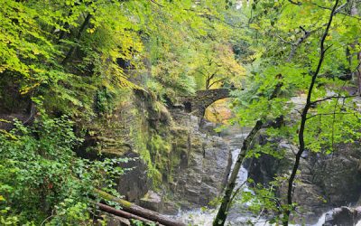 Visitor carrying capacity model:  The Heritage