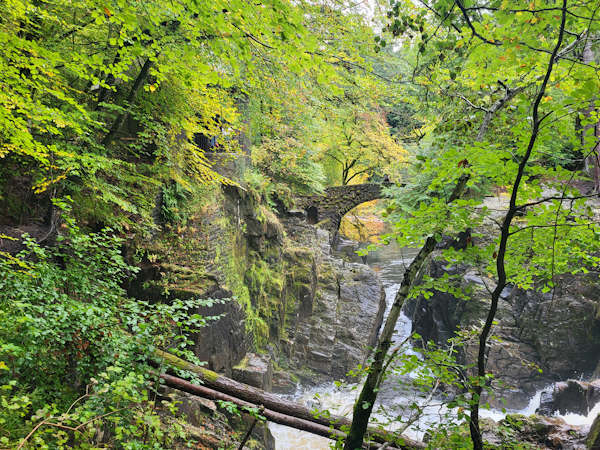 Visitor management planning consultant