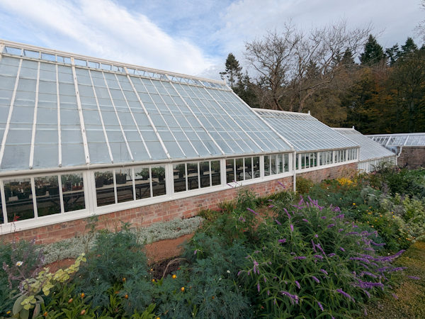 Walled garden consultant