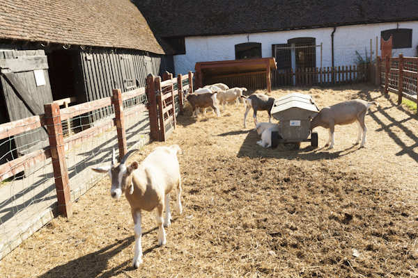 agritourism consultancy