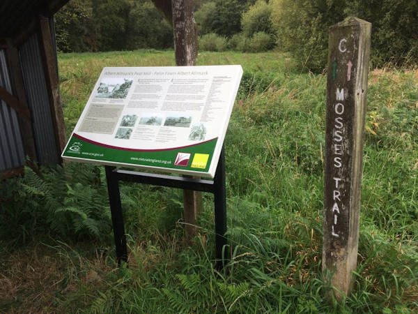 visitor feasibility study