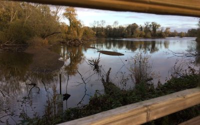 Nature reserve feasibility study